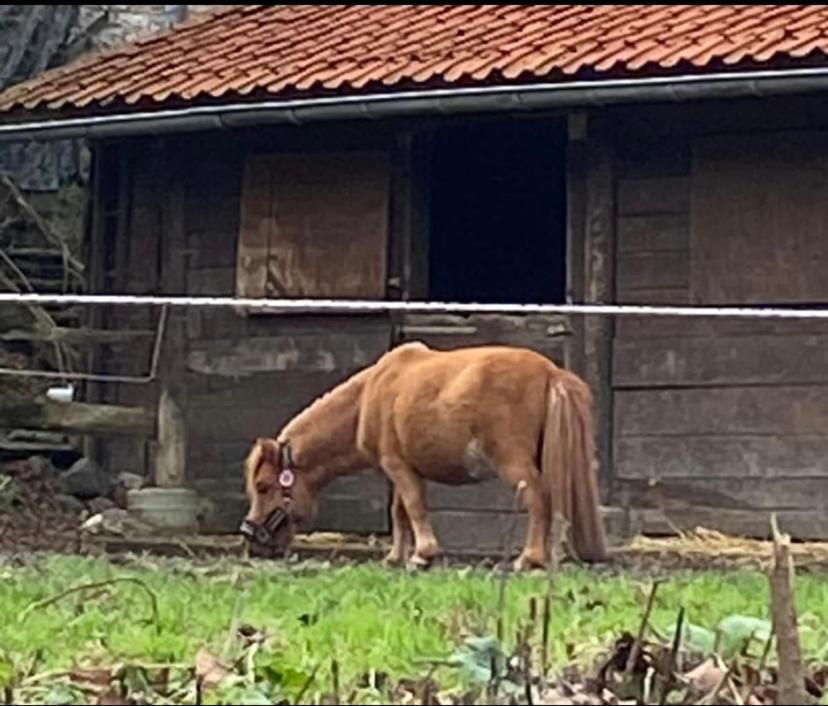 Le Ranch Des Aguesses Villa Andenne ภายนอก รูปภาพ