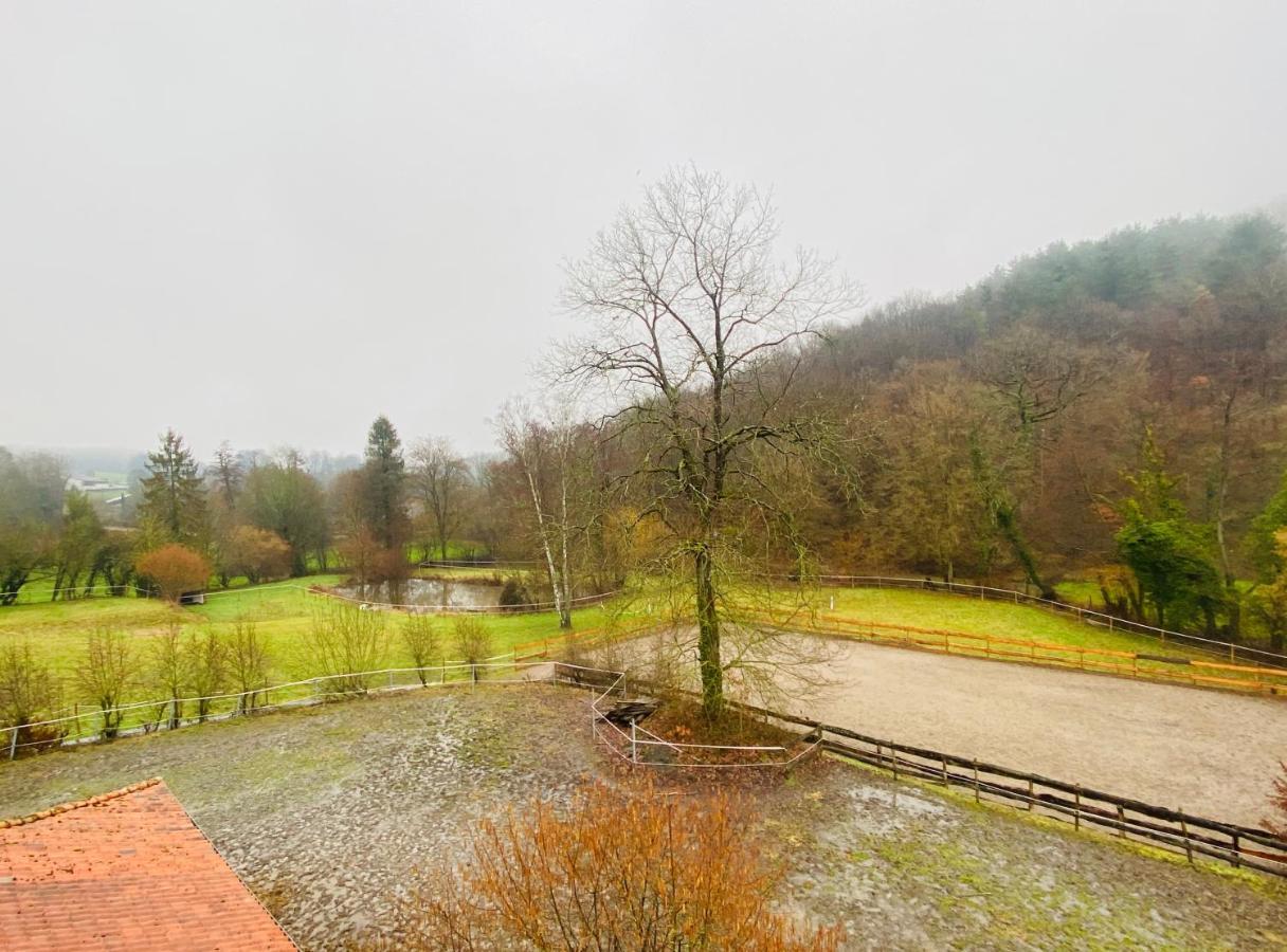 Le Ranch Des Aguesses Villa Andenne ภายนอก รูปภาพ