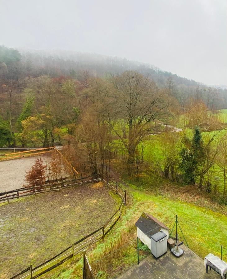 Le Ranch Des Aguesses Villa Andenne ภายนอก รูปภาพ